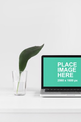 Simple MacBook Pro mockup