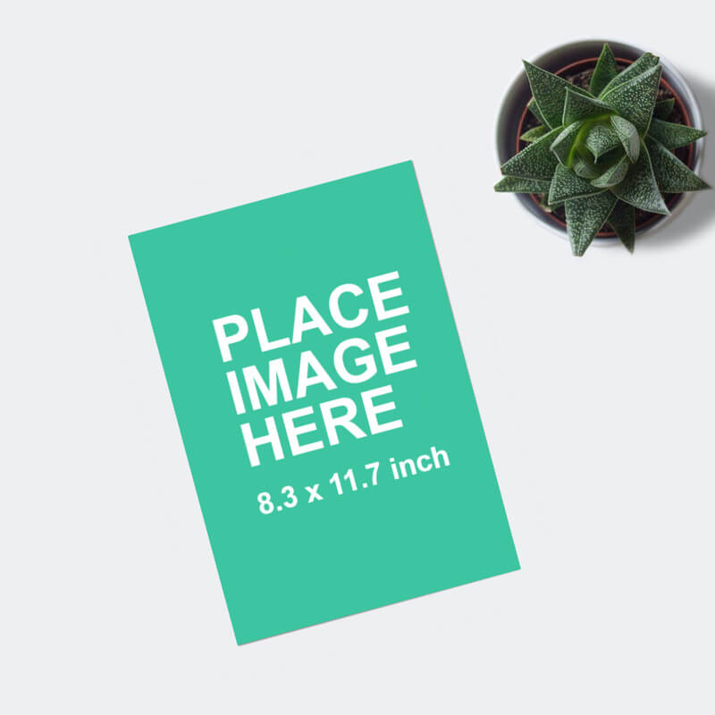 Top down view of A4 paper and plant